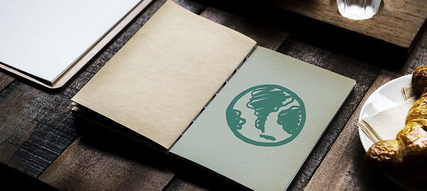 Our Top 10 Favorite Eco-Friendly Products